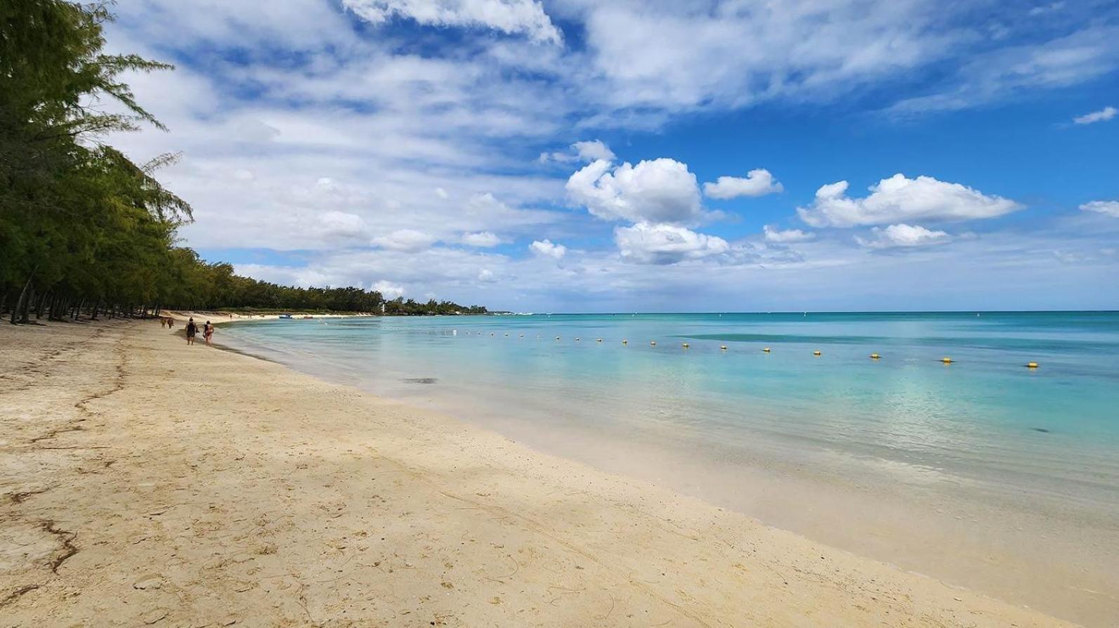 Appartement Le Dauphin Du Lagon Bleu - Plages De Mont Choisy Et De Trou Aux Biches Гранд-Бэй Экстерьер фото